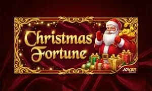 Christmas Fortune