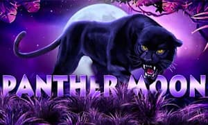 Panther Moon