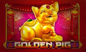 Golden Pig