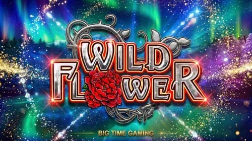Wild Flower