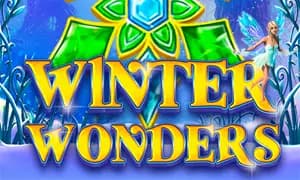 Winter Wonders