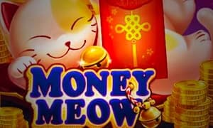 money meow